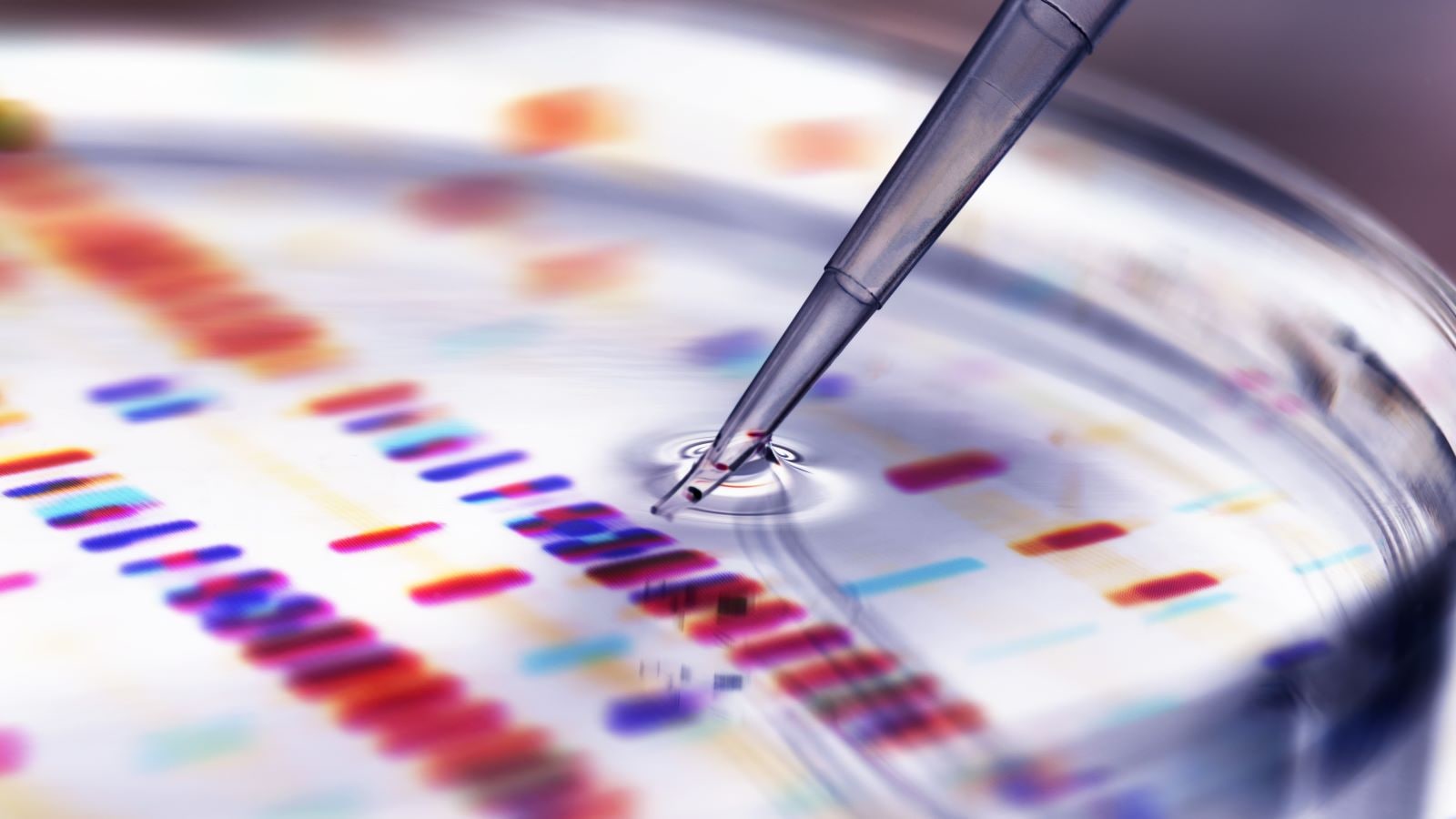 Incentivo fiscal à investigação científica e inovação
