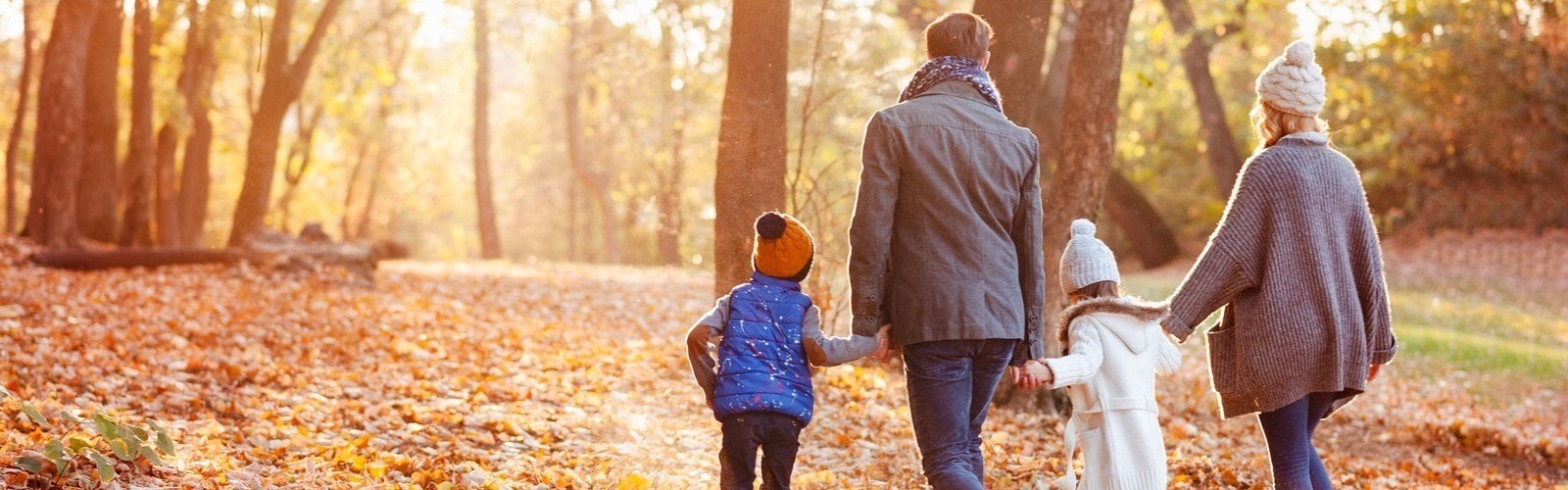 Prüfung von Ausgleichskassen (AHV)