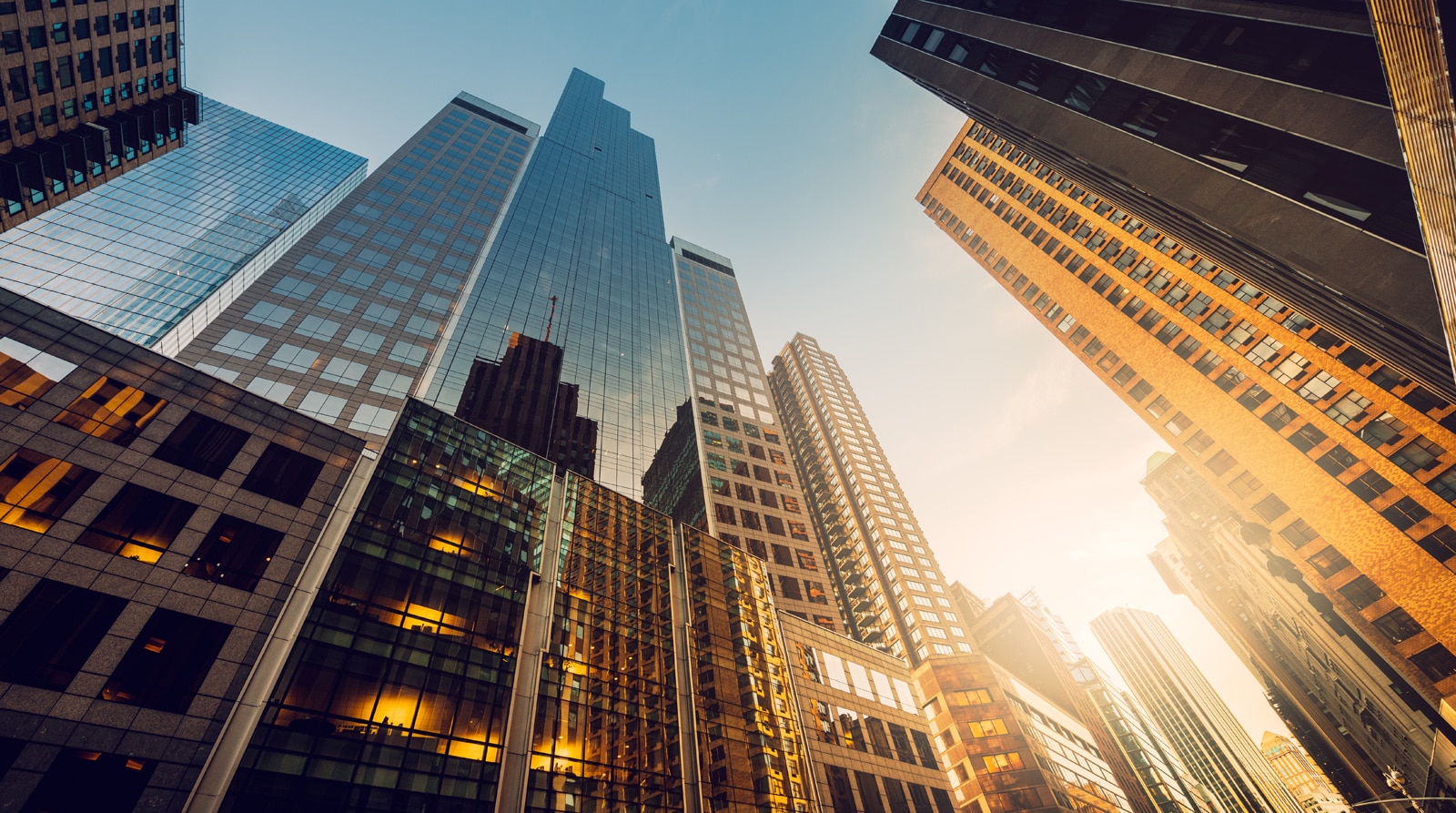 Corporate Intelligence Services