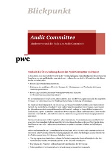 Blickpunkt - Audit Committee