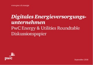 Digitales Energieversorgungsunternehmen