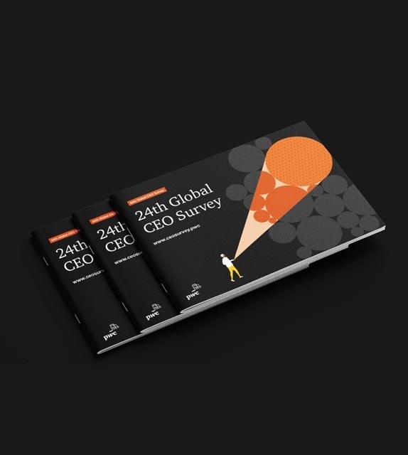 Ceo Survey The Ceo Agenda Pwc