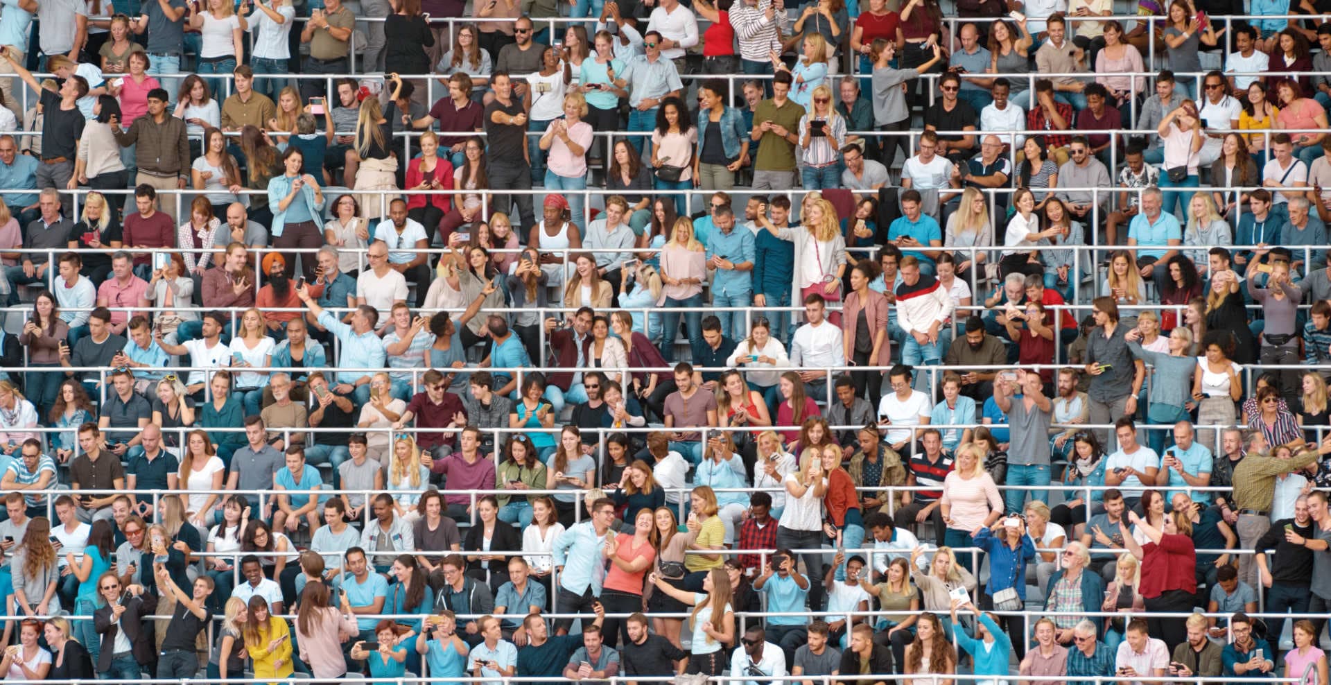 A fact book on fan behaviours