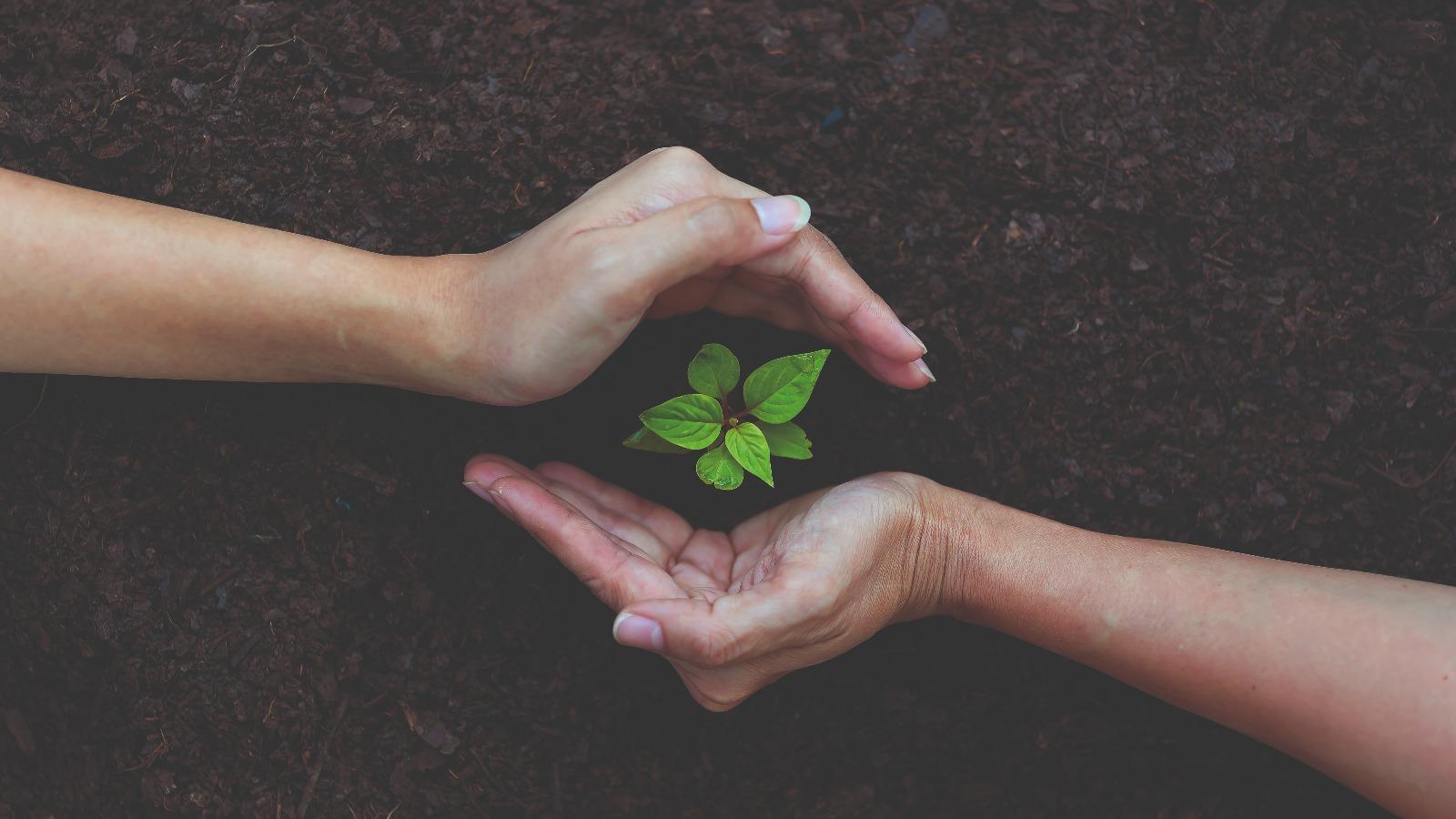 From waste to wealth: embracing the circular economy