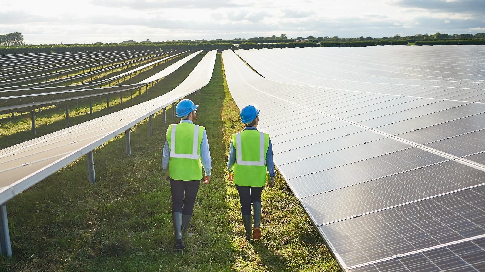 People walking through Solar Panels