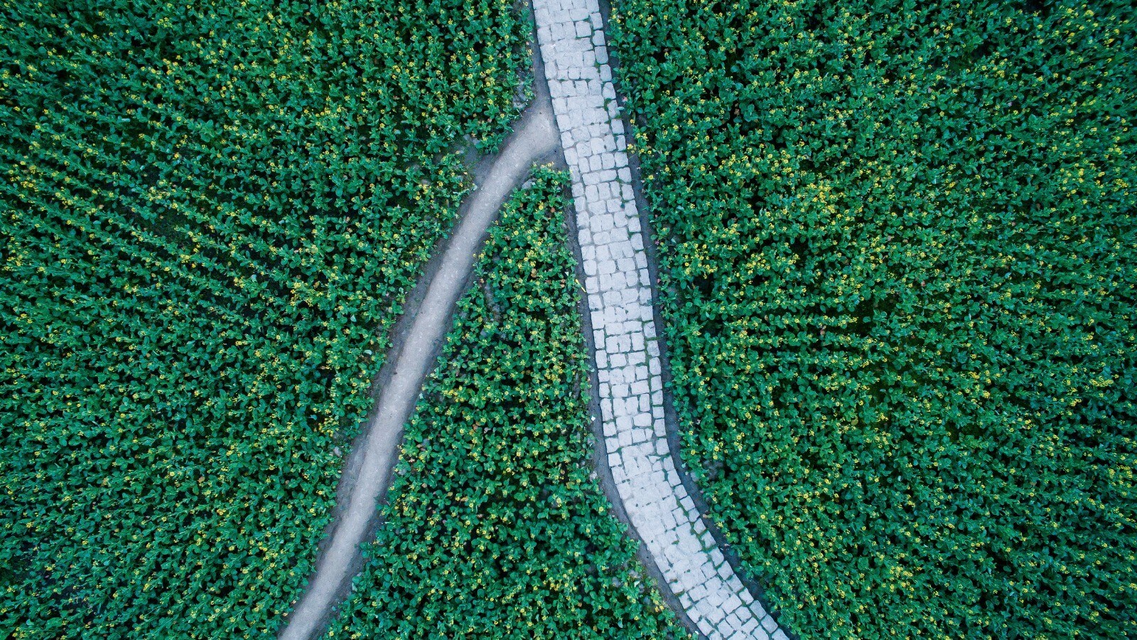 Steuertransparenz- und Nachhaltigkeitsberichterstattung in 2023