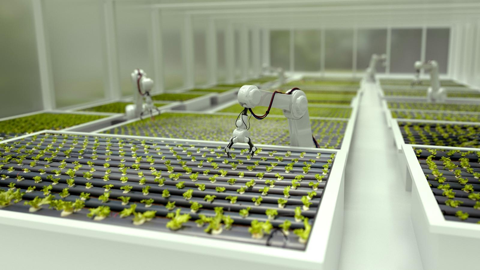 Getting the most out of your current solution while moving to SAP S/4HANA