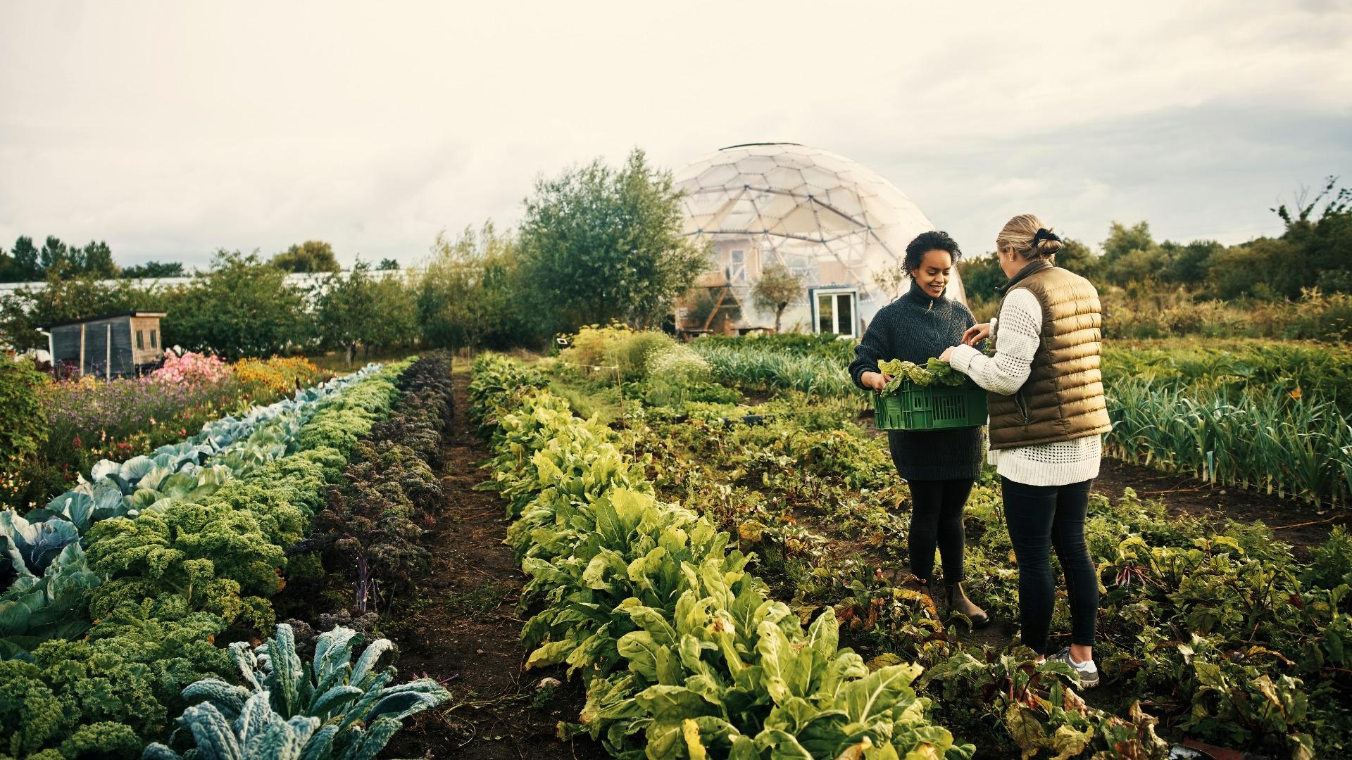 Sustainability reporting: Planning the end right from the beginning