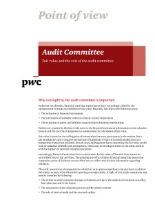 Point of view - Audit Committee